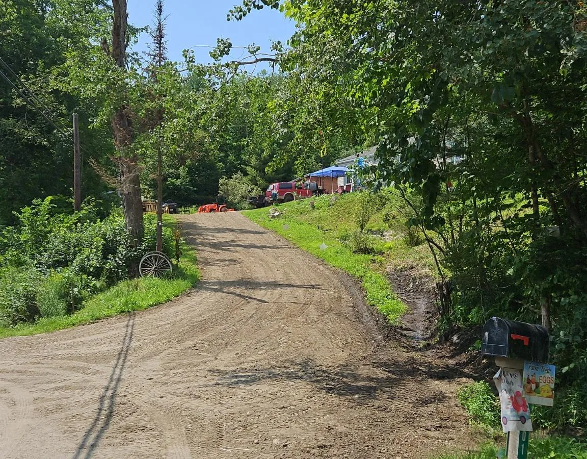 Graded dirt driveway running between trees and a lawn.